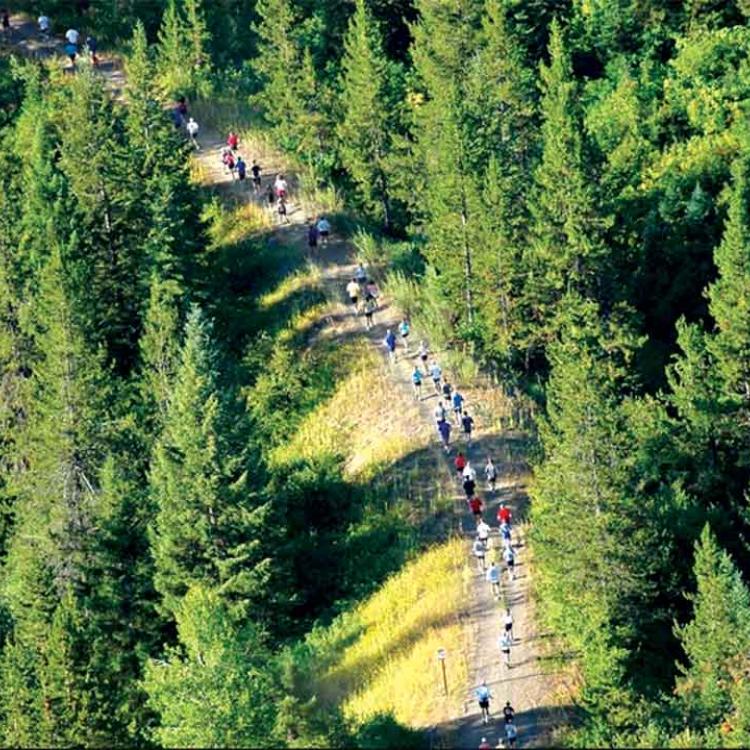 Half Marathon