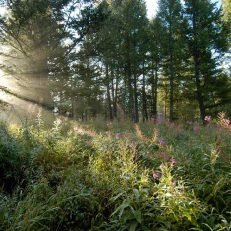 Named One of Idaho's Best Marathons By Runners