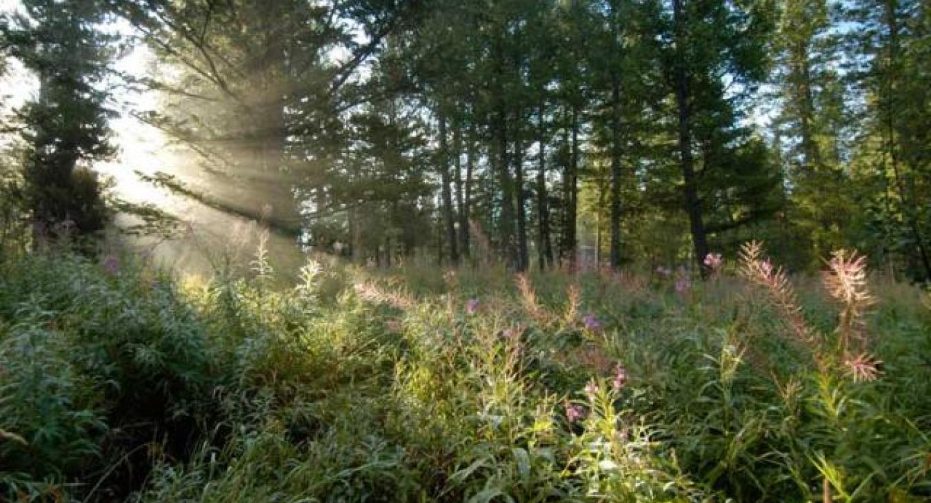 Named One of Idaho's Best Marathons By Runners