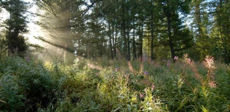 Named One of Idaho's Best Marathons By Runners