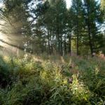 Named One of Idaho's Best Marathons By Runners