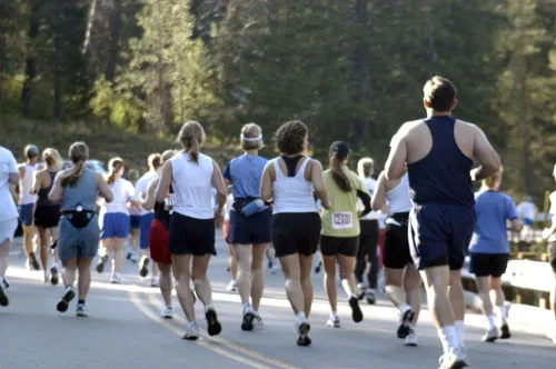 Mesa Falls Marathon